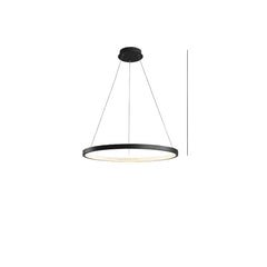 HEIKESZ Minimalist living room chandelier post-modern minimalist light luxury dining room lamp designer villa exhibition hall lamp circle main lamp light fixtures for celling lights