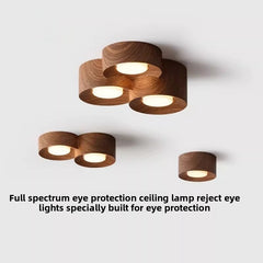 HEIKESZ Vintage Surface Mounted Ceiling Light Japanese Wabi **** Style Dual Head Track Light for Corridor Living Room Balcony Hallway No Main Light