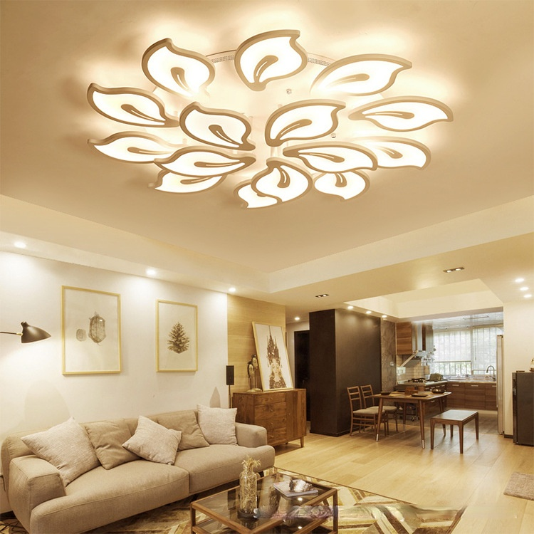 HEIKESZ LED Ceiling Light Modern Minimalist Design for Living Room Dining Room Bedroom Study Warm Light Chandelier Room Lighting