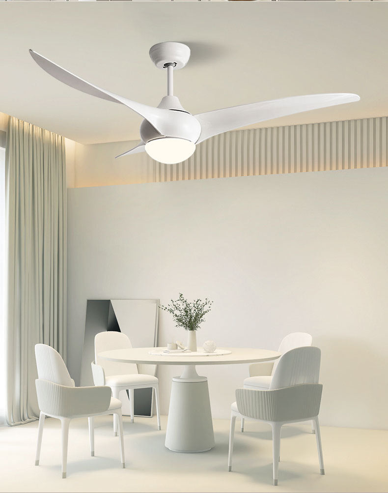 HEIKESZ New intelligent fan lighting variable frequency remote control 52 inch ceiling fan lighting living room dining room bedroom modern simple fan chandelier lamp lighting fixtures for celling lighting