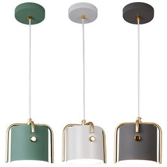 HEIKESZ Nordic Style Ceiling Light Single Head Creative Iron Art Pendant Lamp for Restaurant Bedroom Apartment Hotpot Shop Ins Design