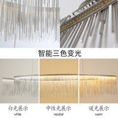 HEIKESZ Light luxury restaurant lamps ins clothing shop window, front desk creative personality tassel post-modern Nordic bar chandelier lamp light fixtures for celling lights