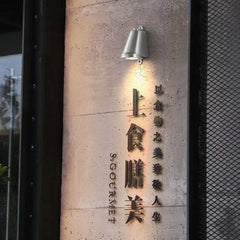 HEIKESZ Waterproof Vintage Industrial Wall Light Outdoor No Drill Charging Spotlight for Corridor Restaurant Signage