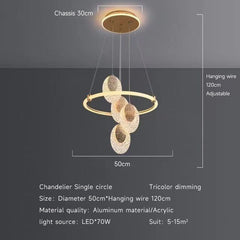 HEIKESZ Modern Acrylic 4 Head Ceiling Light Creative Gold Chandelier for Living Room Bedroom Dining Room