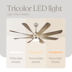 HEIKESZ 60 Inch Ceiling Fan with Light 8 ABS Blades Modern Silver Quiet High Wind Power for Living Room Dining Room Cross Border