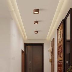 HEIKESZ Vintage Surface Mounted Ceiling Light Japanese Wabi **** Style Dual Head Track Light for Corridor Living Room Balcony Hallway No Main Light